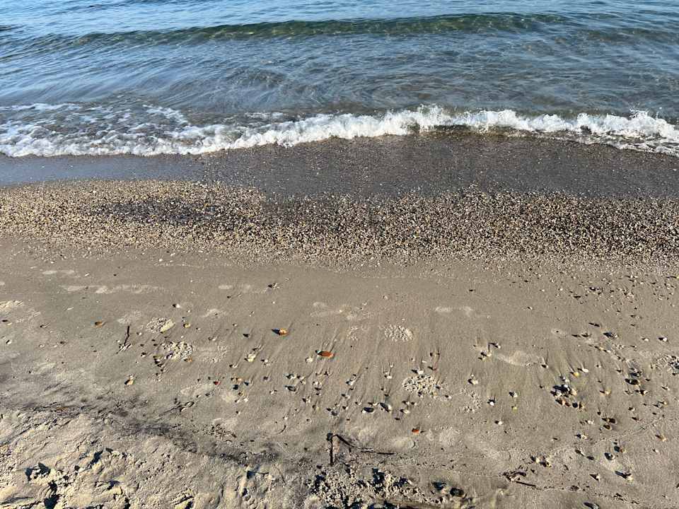 Strand Hotel Horizon Beach Resort