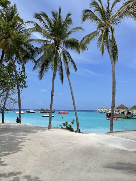 Ausblick Machchafushi Island Resort & Spa Maldives, The Centara Collection