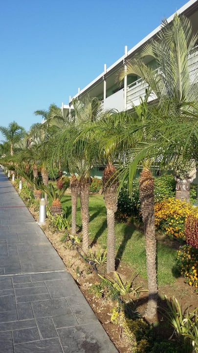 Alejka hotelowa. Blue Lagoon Resort