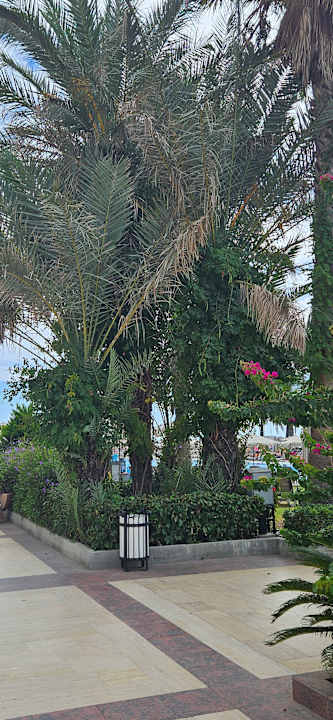 Gartenanlage Adora Hotel & Resort