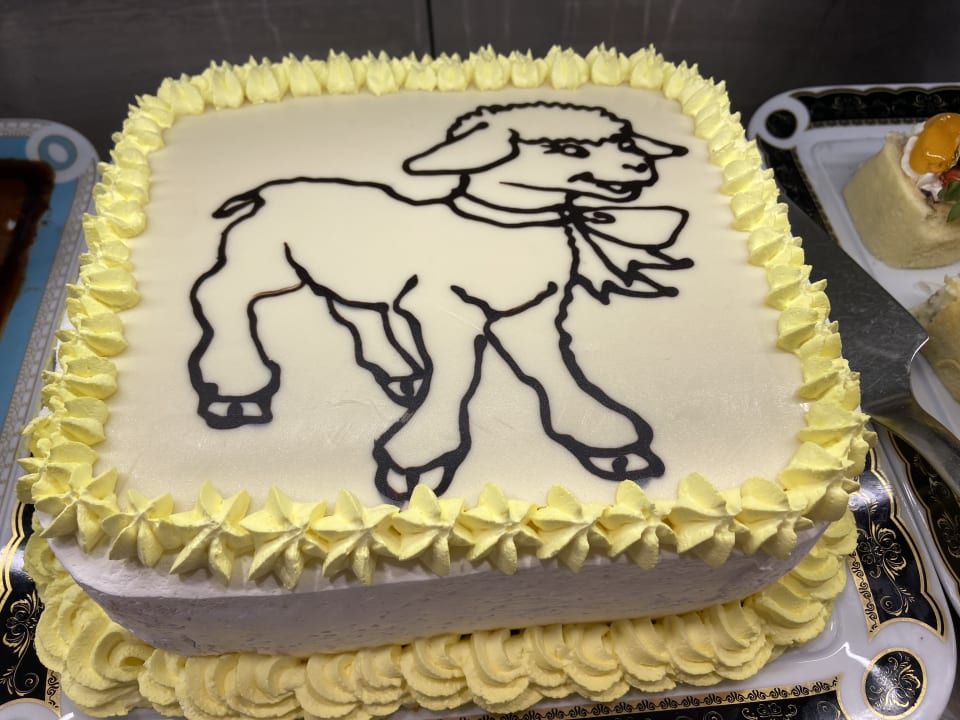 Gastro TUI MAGIC LIFE Beldibi +16