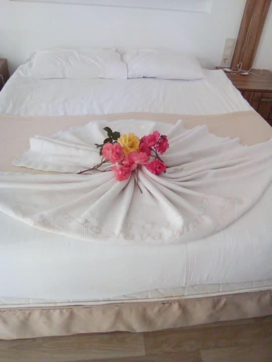 Zimmer Clover Magic Altınkum Park (Annex Clover Magic Nova Beach)