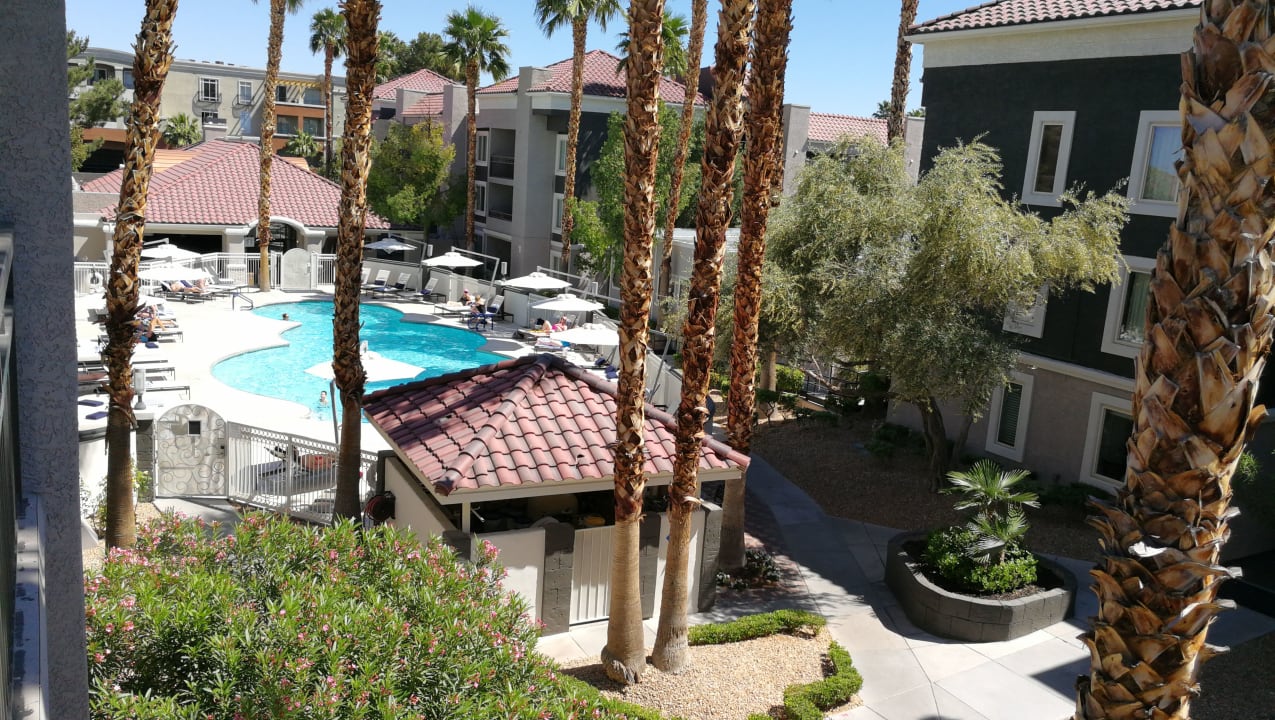 Pool Hotel Desert Rose Resort