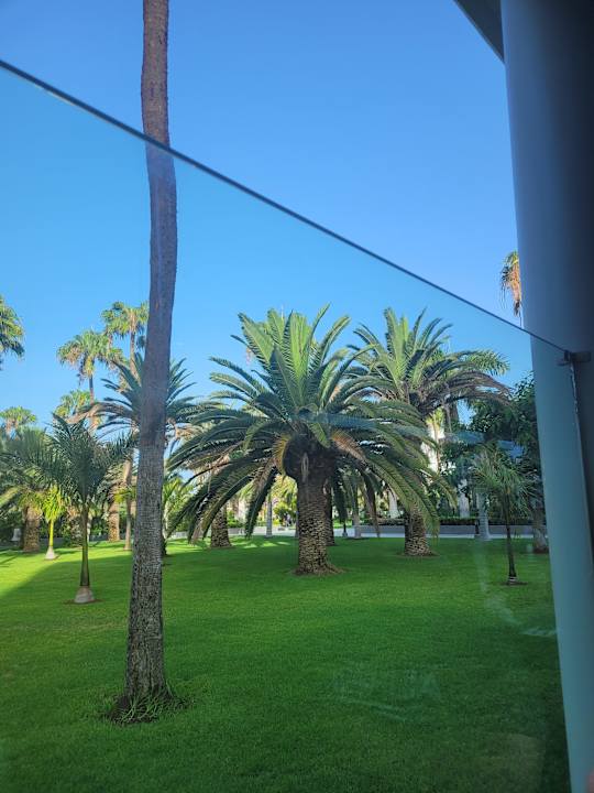 Gartenanlage Hotel Riu Gran Canaria