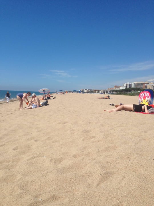 Blick Richtung Süden Hotel Rosa Nautica
