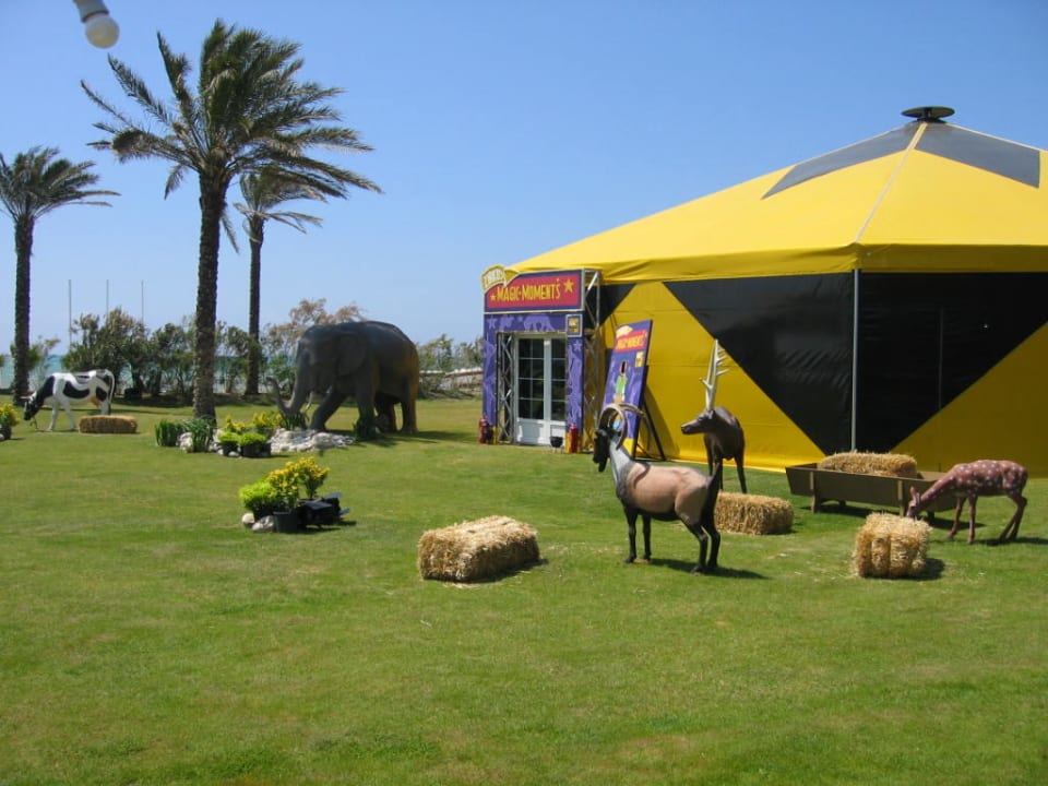 Zirkus Magic Moments Asteria Family Belek