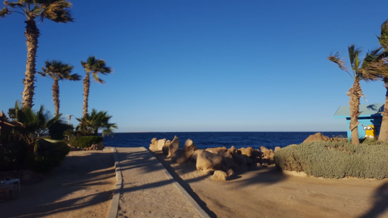 Strand Pickalbatros Citadel Resort