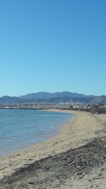 Strand Shams Prestige Abu Soma-Adults Only