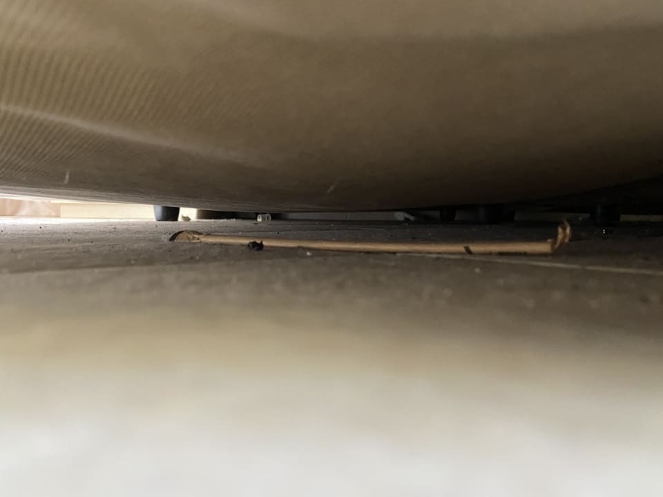 Zimmer Sunshine Rhodes