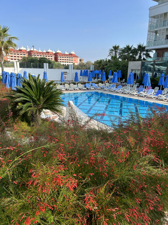 Pool Sentido Trendy Verbena Beach