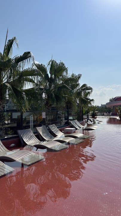 Pool Dream World Palace Hotel