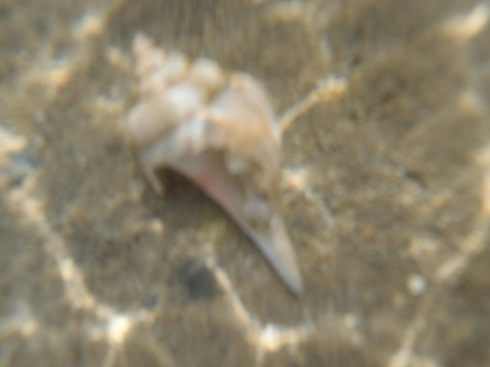 Muszla Hotel Titanic Palace