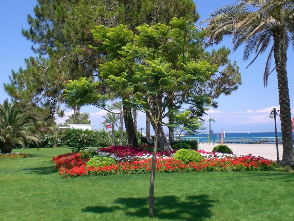 Blick vom Garten auf das Meer Club Boran Mare Beach