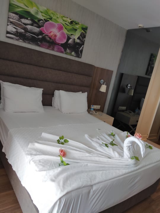 Zimmer Monachus Family Resort Sorgun