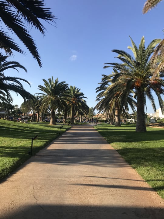 Gartenanlage Anissa Beach & Village