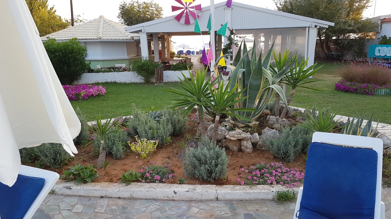 Gartenanlage Hotel Albatros