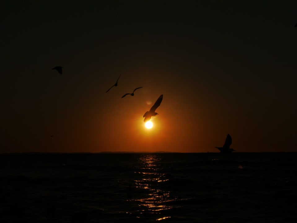 Sonnenuntergang Hotel Aurora Family & SPA