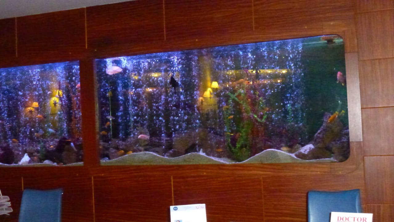 Schönes Aquarium Hotel Grand Side