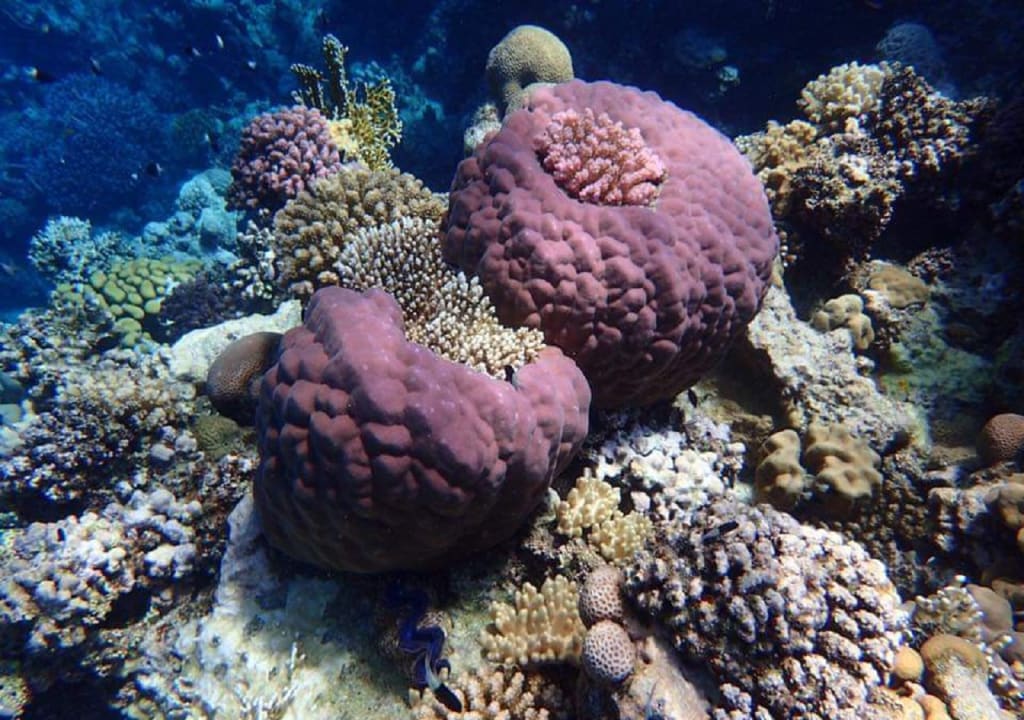 Sport & Freizeit Laguna Beach Marsa Resort