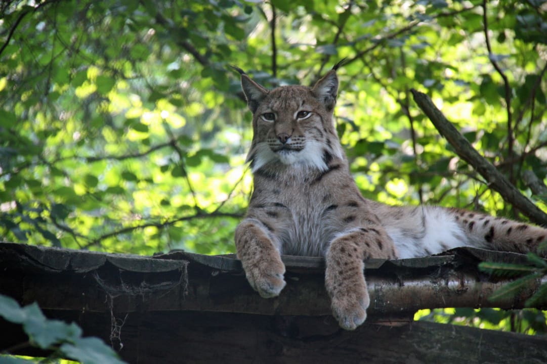 Tierpark Lohberg Landgasthof zum Tierpark