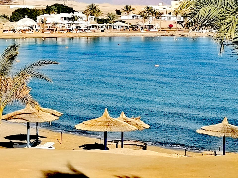 Strand Coral Sun Beach