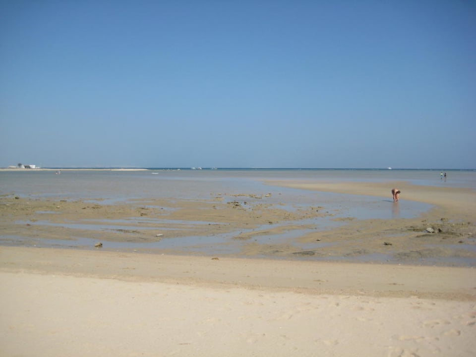 Meer bei Ebbe Hotel Titanic Palace