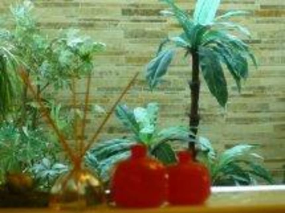 Dekoration Seher Resort & Spa