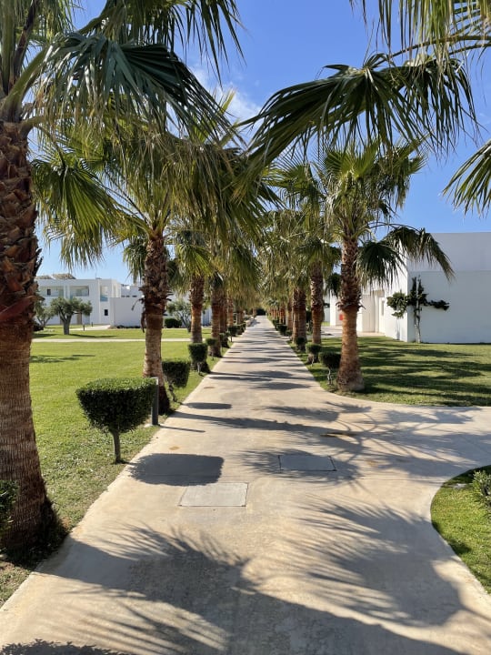 Gartenanlage Atlantica Plimmiri