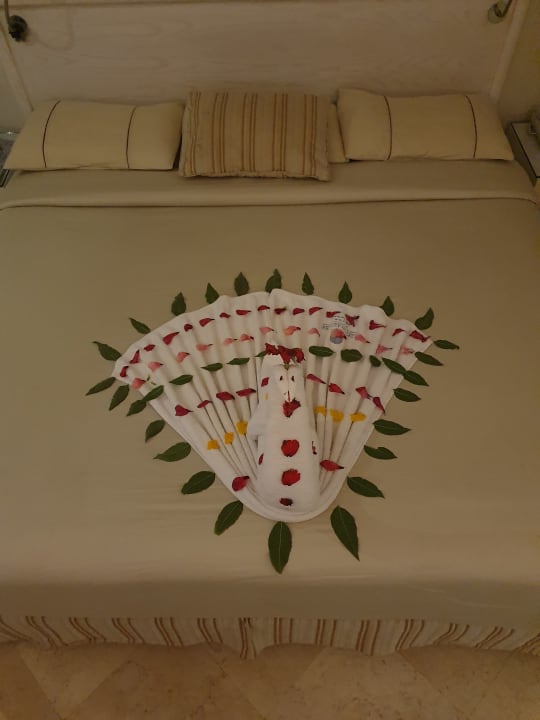 Zimmer Makadi Spa - Adults only