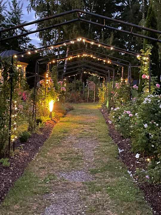 Außenansicht Spirit & SPA Hotel Birkenhof am Elfenhain