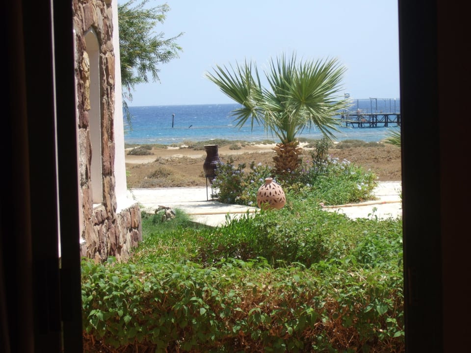 Вид из окна Shams Alam Beach Resort