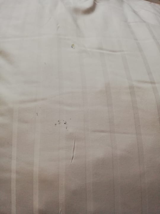 Zimmer Hotel Rotterdam