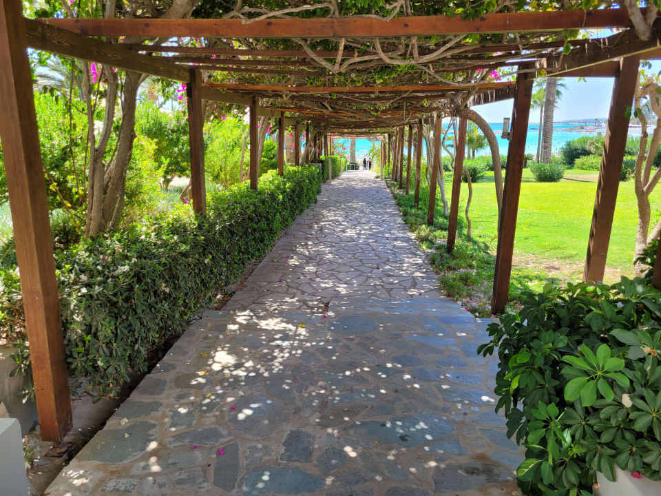 Gartenanlage Hotel Nissi Beach Resort