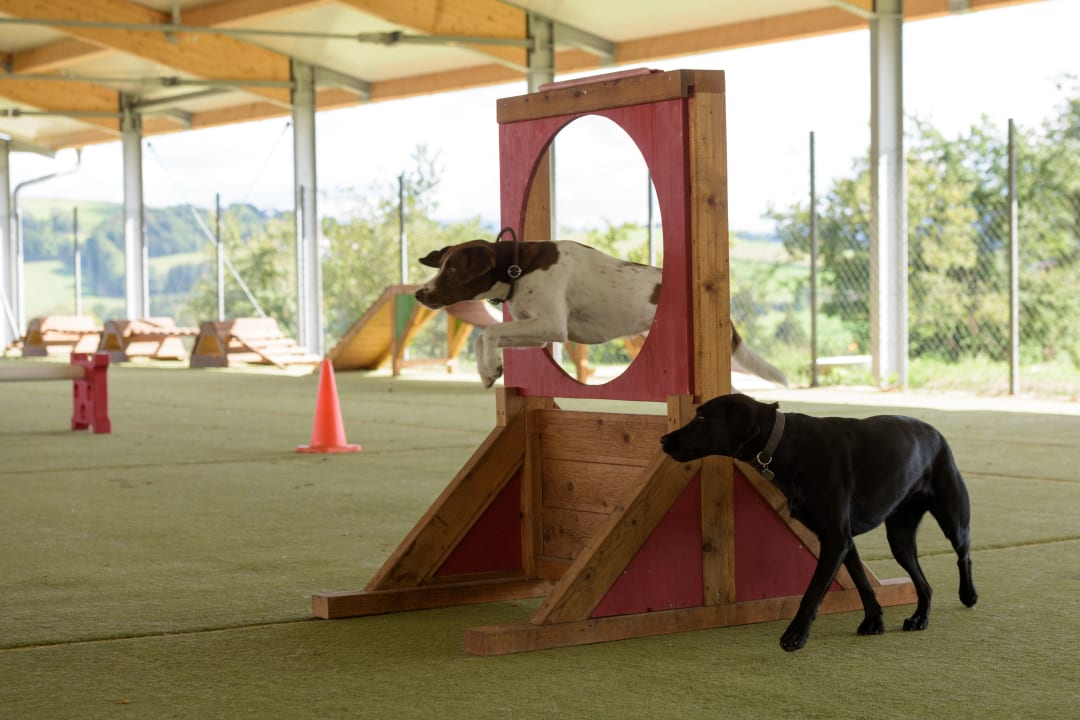 Sport & Freizeit Hotel Gut Feuerschwendt