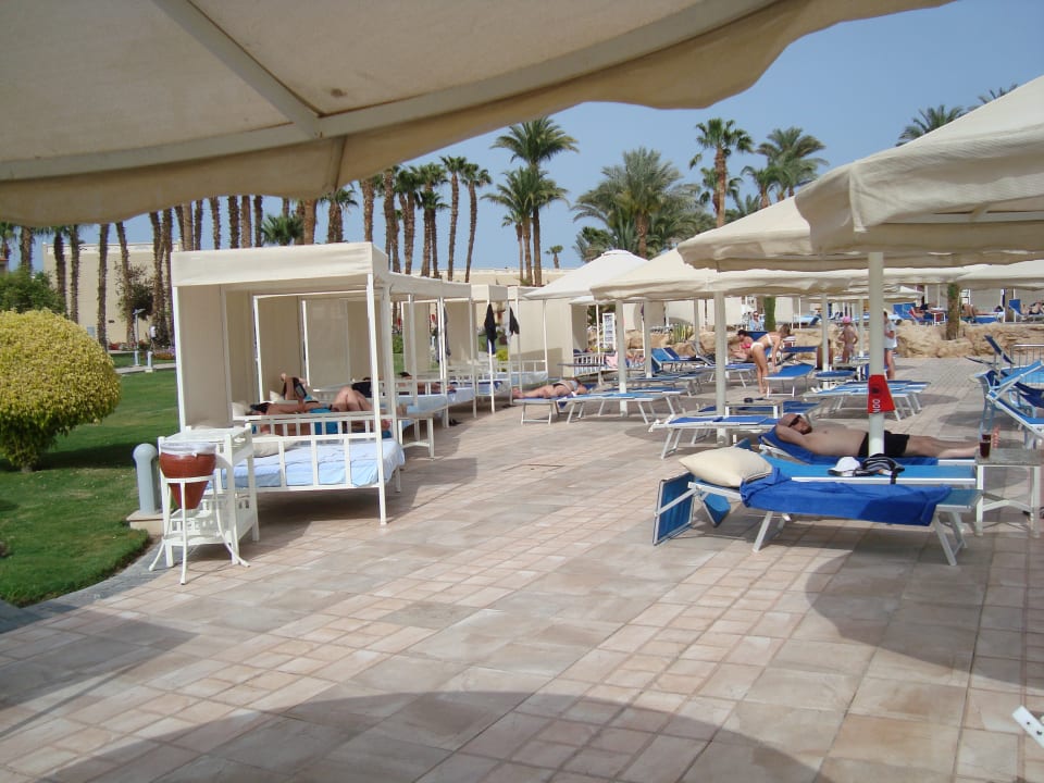 Pool Beach Albatros Resort