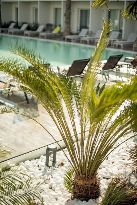 Pool White Dreams Resort & Anex