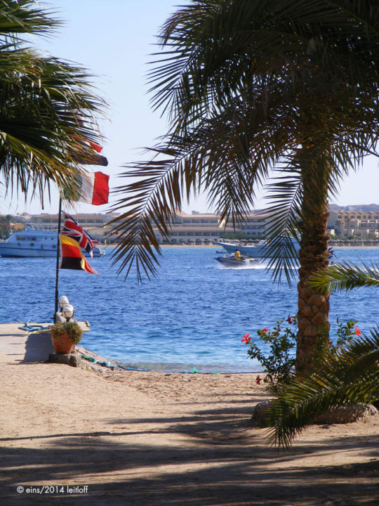 Ableger Tauchschule Fort Arabesque Resort, Spa & Villas