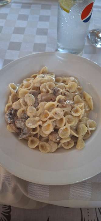 Gastro Seashell Vega