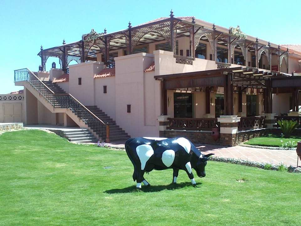 Корова Pickalbatros Aqua Vista Resort - Hurghada