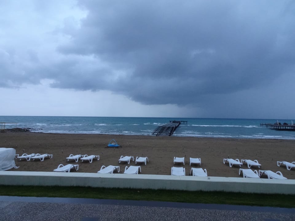 Strand Arum Barut Collection