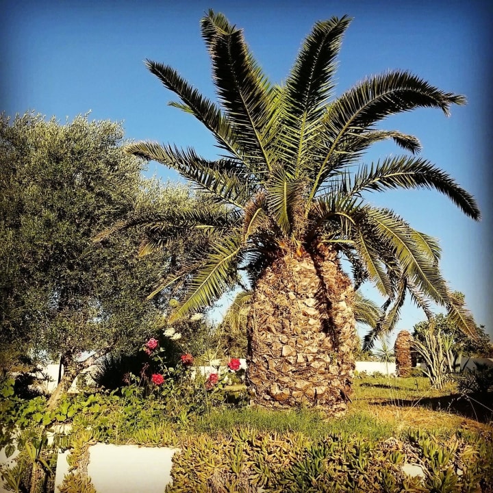 Bungalowy HARPIN Georgioupolis Resort Aquapark & SPA