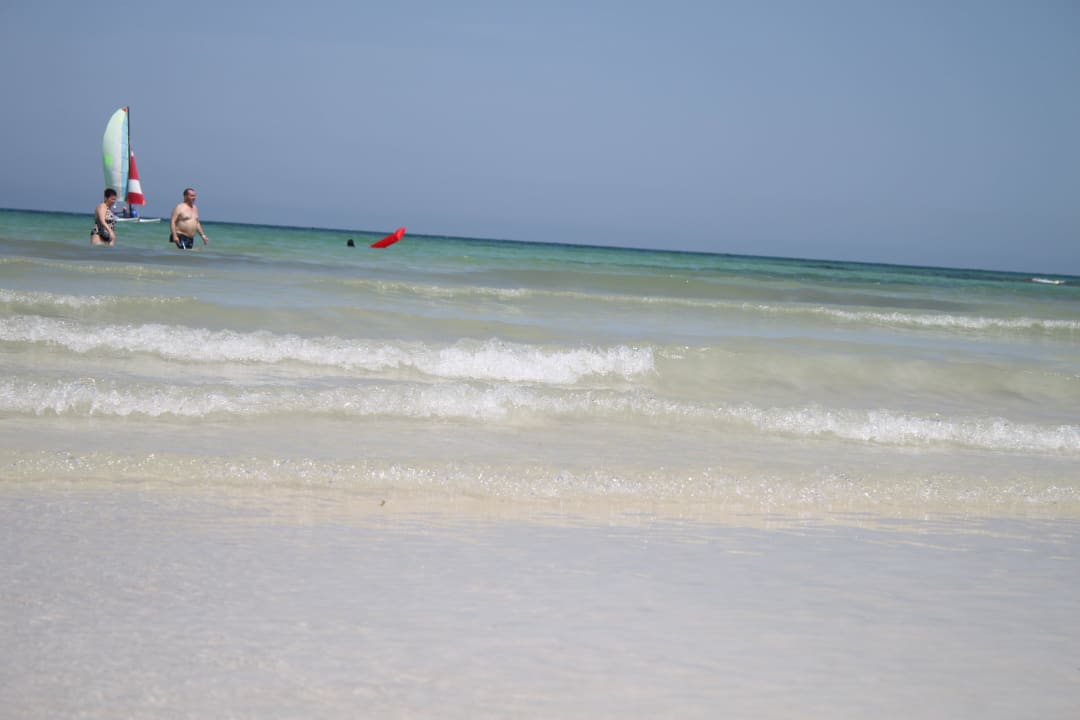 Sehr schön trotz Algen Hotel Seabel Rym Beach Djerba