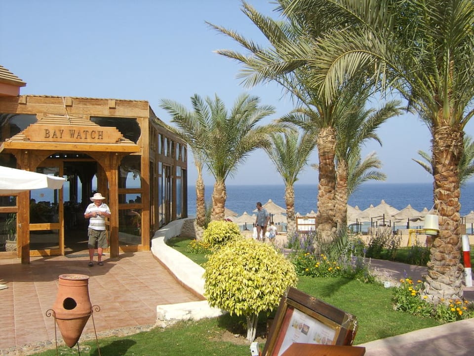 Strandrestaurant Serenity Alpha Beach