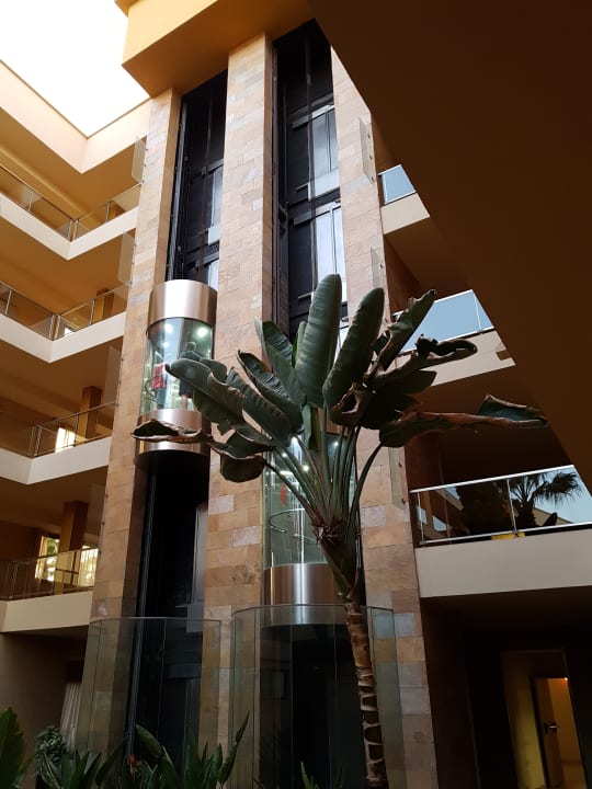 Gartenanlage Elba Carlota Beach & Golf Resort