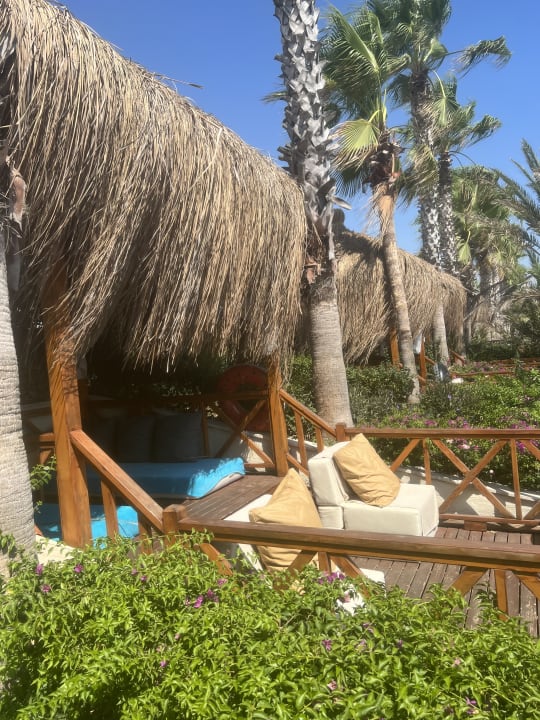 Strand Paloma Oceana