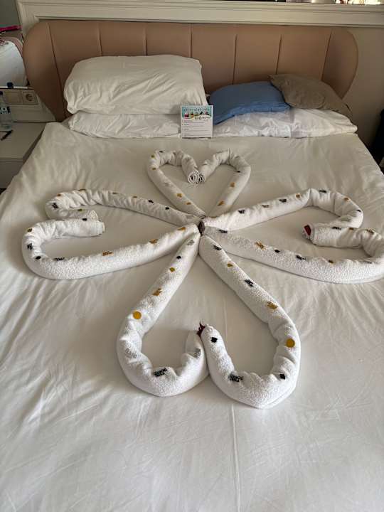 Zimmer Hotel Delphin Diva