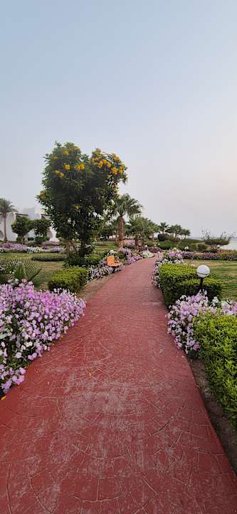 Gartenanlage Three Corners Equinox Beach Resort