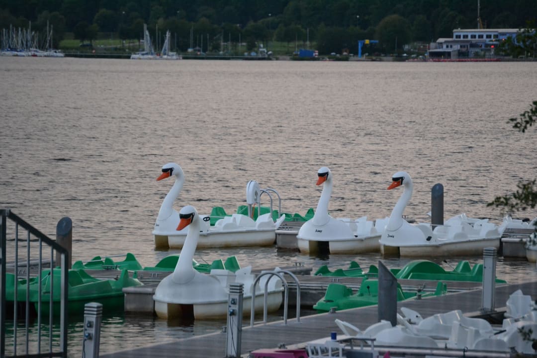 Strand Center Parcs Park Bostalsee