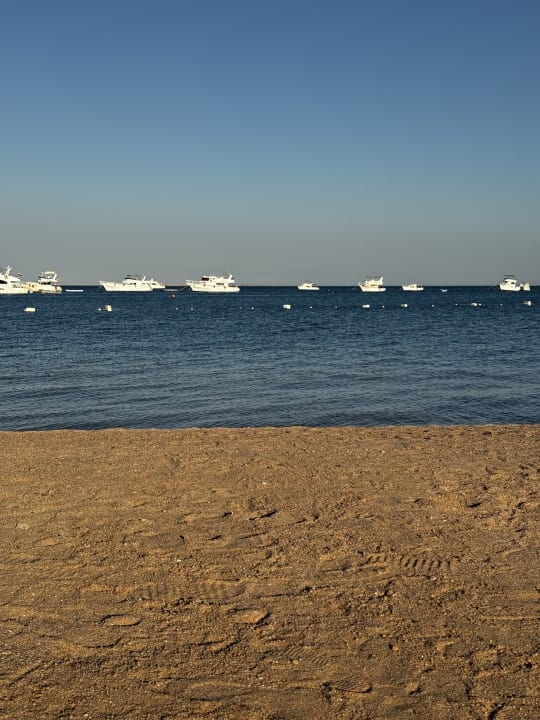 Strand The Grand Palace - Adults only