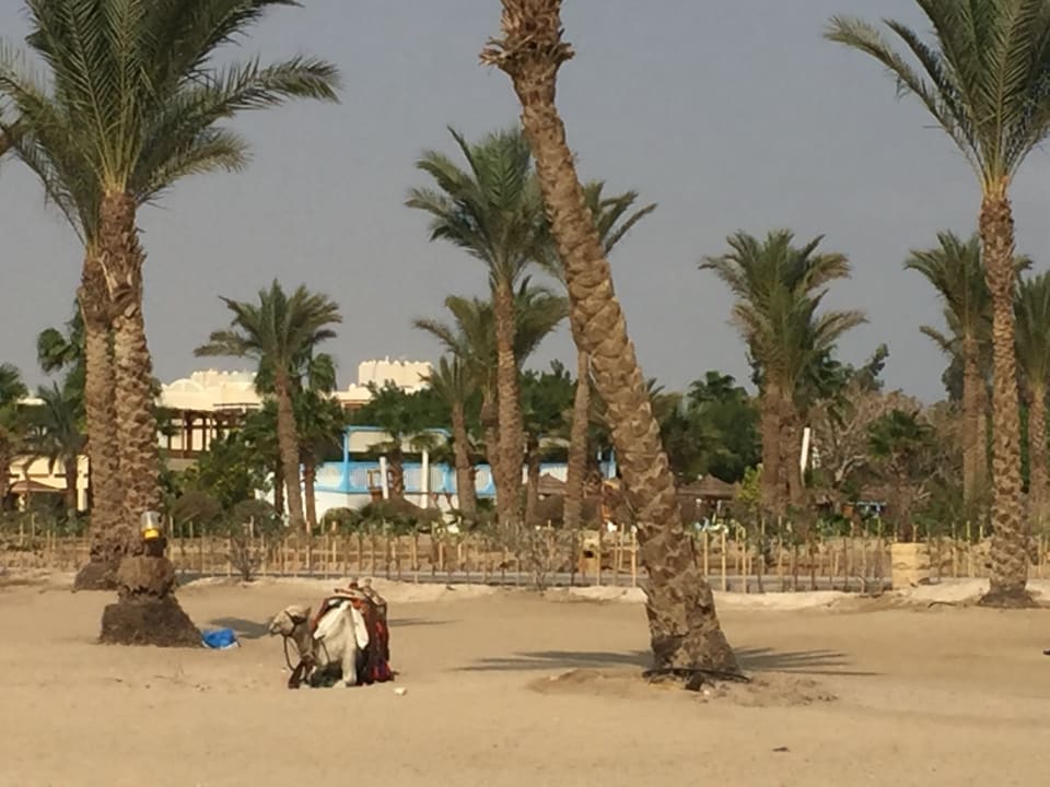 Außenansicht ROBINSON SOMA BAY